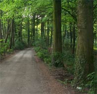 Kluisberg / Mont de l'Enclus